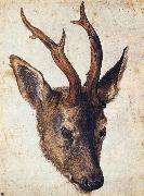 Albrecht Durer The Head of Stag Germany oil painting reproduction